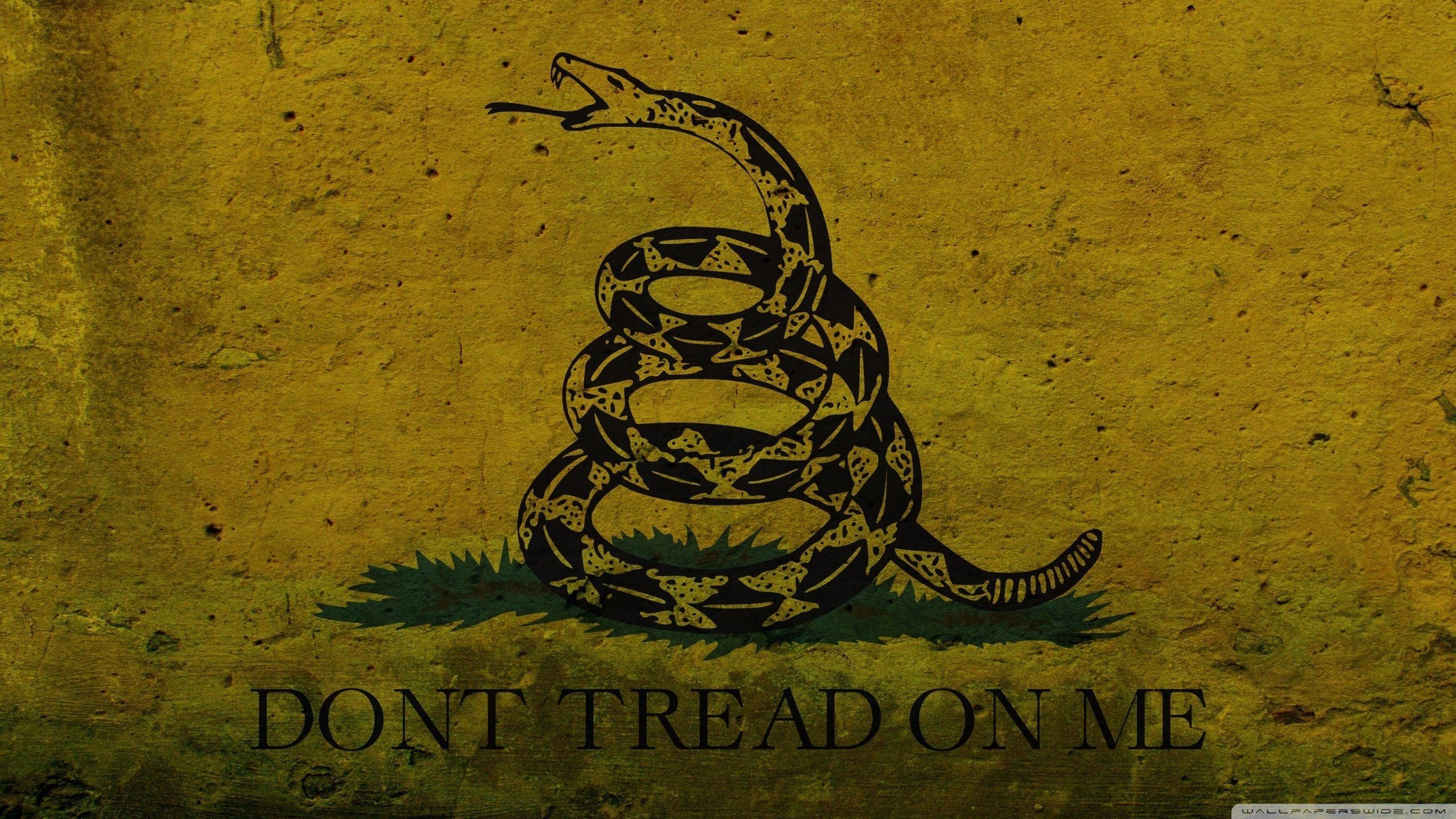 dont tread on me flag meaning today
