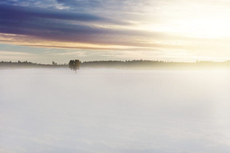snow, Trees, Clouds HD Wallpaper Desktop Background