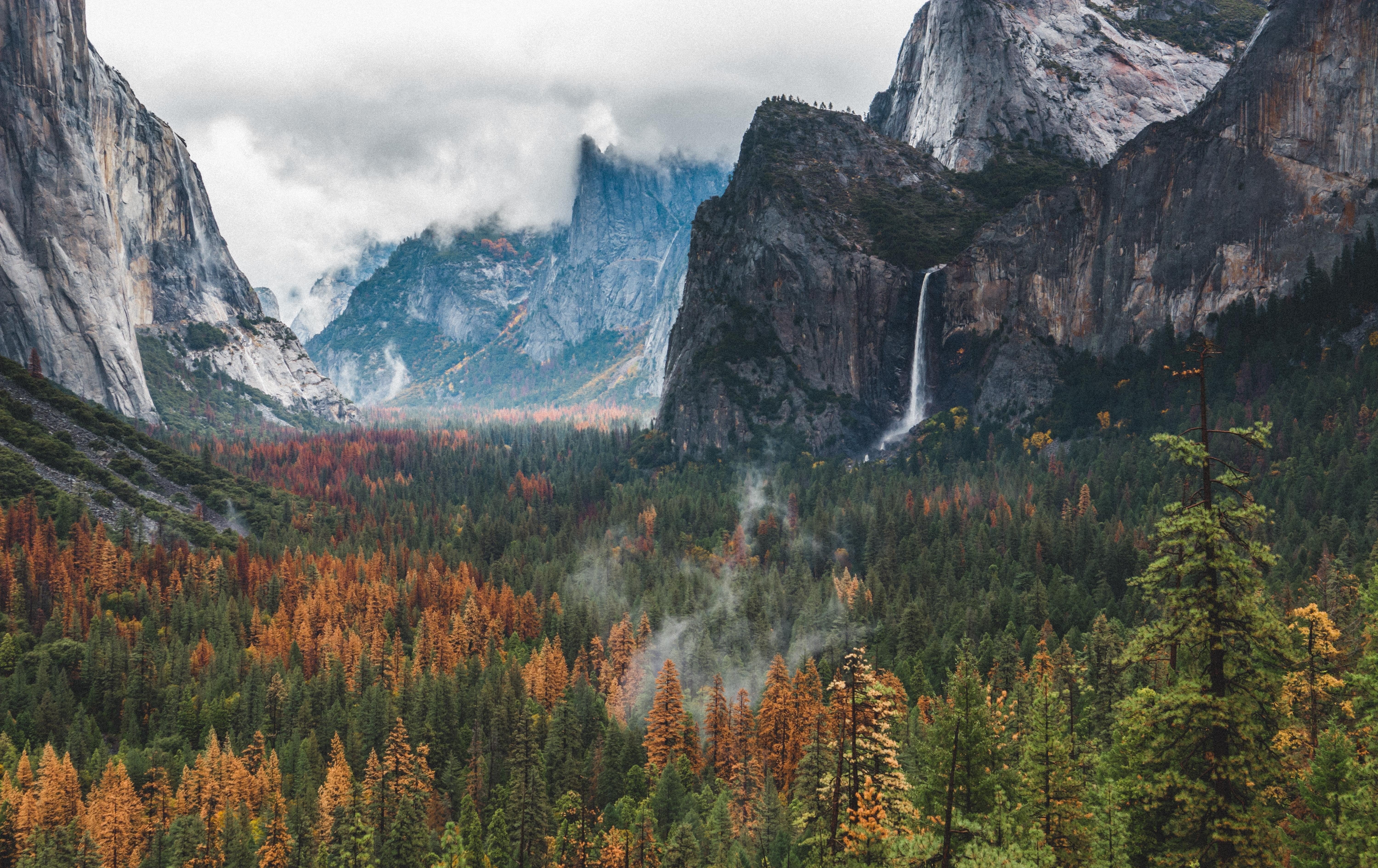 wilderness, Mountains, Forest, Yosemite National Park, Yosemite Valley Wallpaper