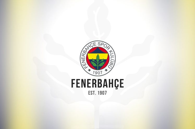 team, Fenerbahçe, Sports club HD Wallpaper Desktop Background