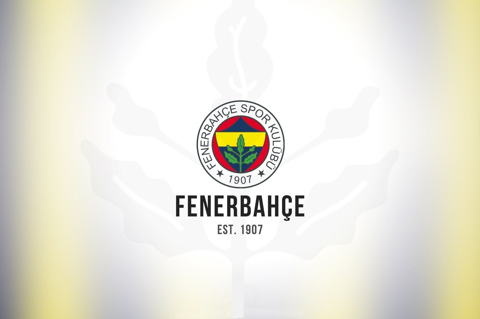 team, Fenerbahçe, Sports club Wallpaper