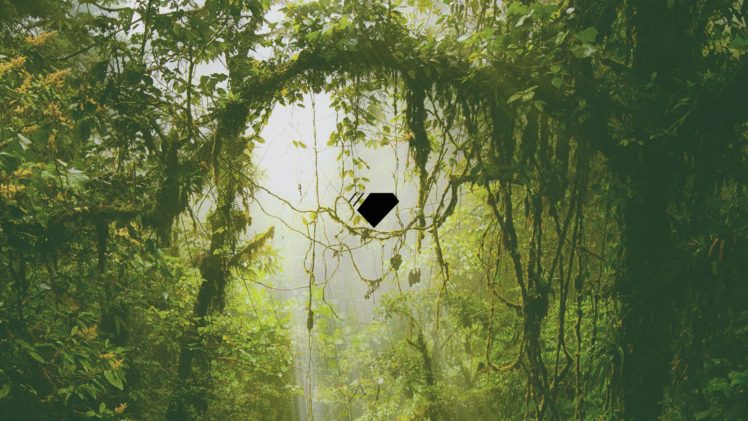 jungle, Green, Trees HD Wallpaper Desktop Background
