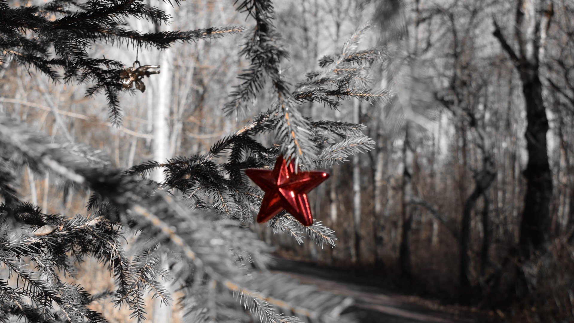trees, Christmas, Christmas ornaments Wallpaper