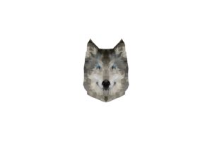 low poly, Wolf, Simple