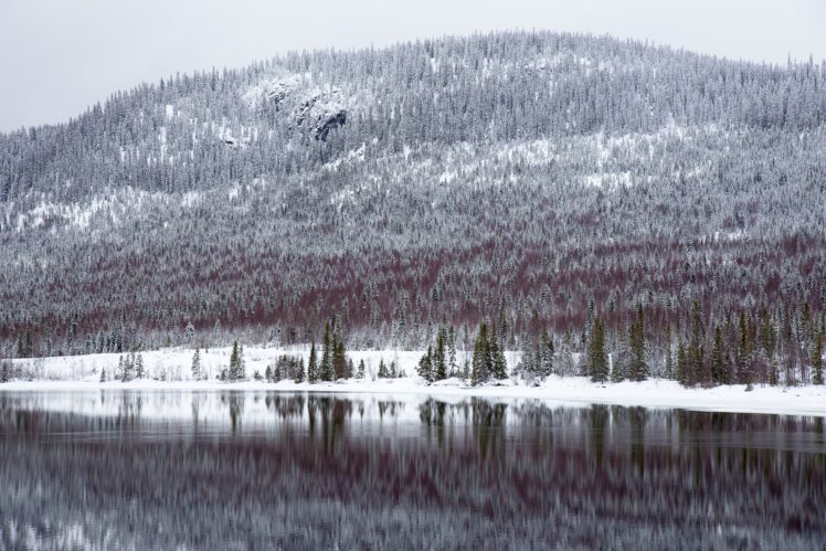 nature, Water, Snow, Trees HD Wallpaper Desktop Background