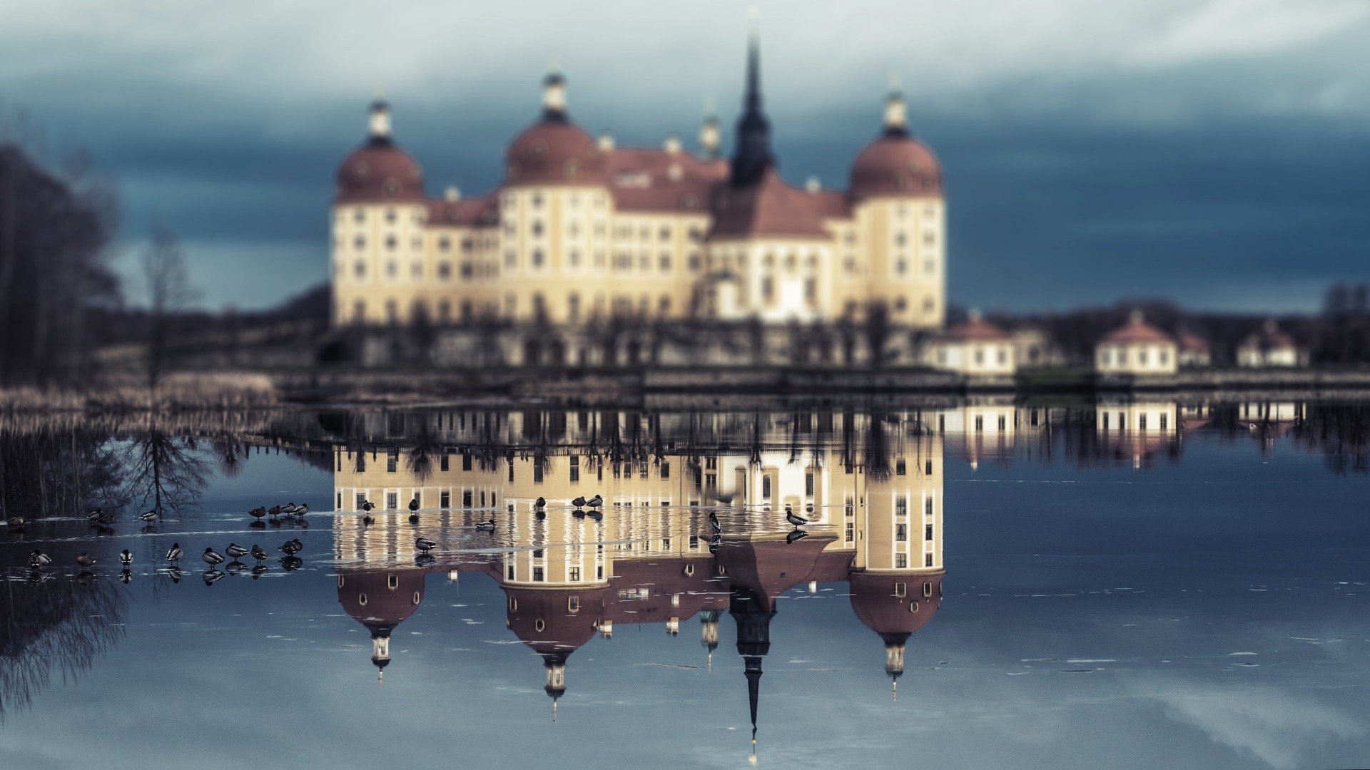 moritzburg castle, Reflection, Water Wallpaper