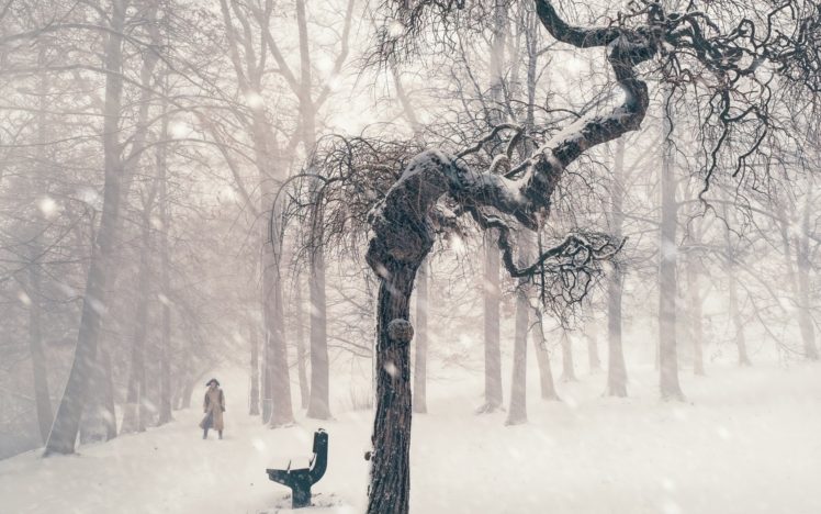 winter, Snow, Trees HD Wallpaper Desktop Background