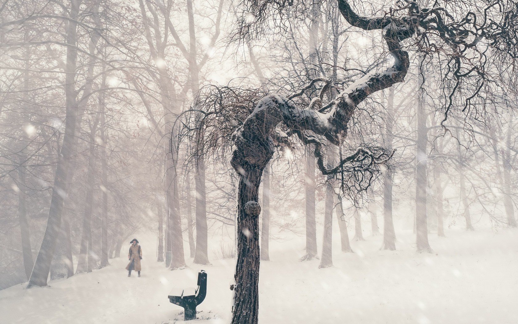 winter, Snow, Trees Wallpaper