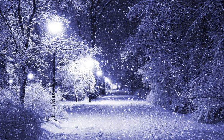 winter, Snow, Night, Park, Path, Trees HD Wallpaper Desktop Background
