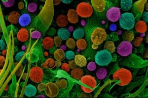 microscopic, Macro, Colorful, Miniatures, Cannabis, Science, Chemistry, Colorized photos