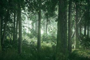 The Last of Us, Part II, Apocalyptic, Video games, Forest