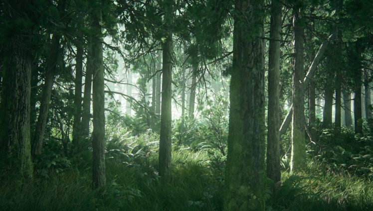 Free download Forest Background Pack Your new Game Assets Store 1920x1080  for your Desktop Mobile  Tablet  Explore 18 Game Backgrounds  Game  Wallpaper Cool Game Wallpapers Hd Game Wallpaper