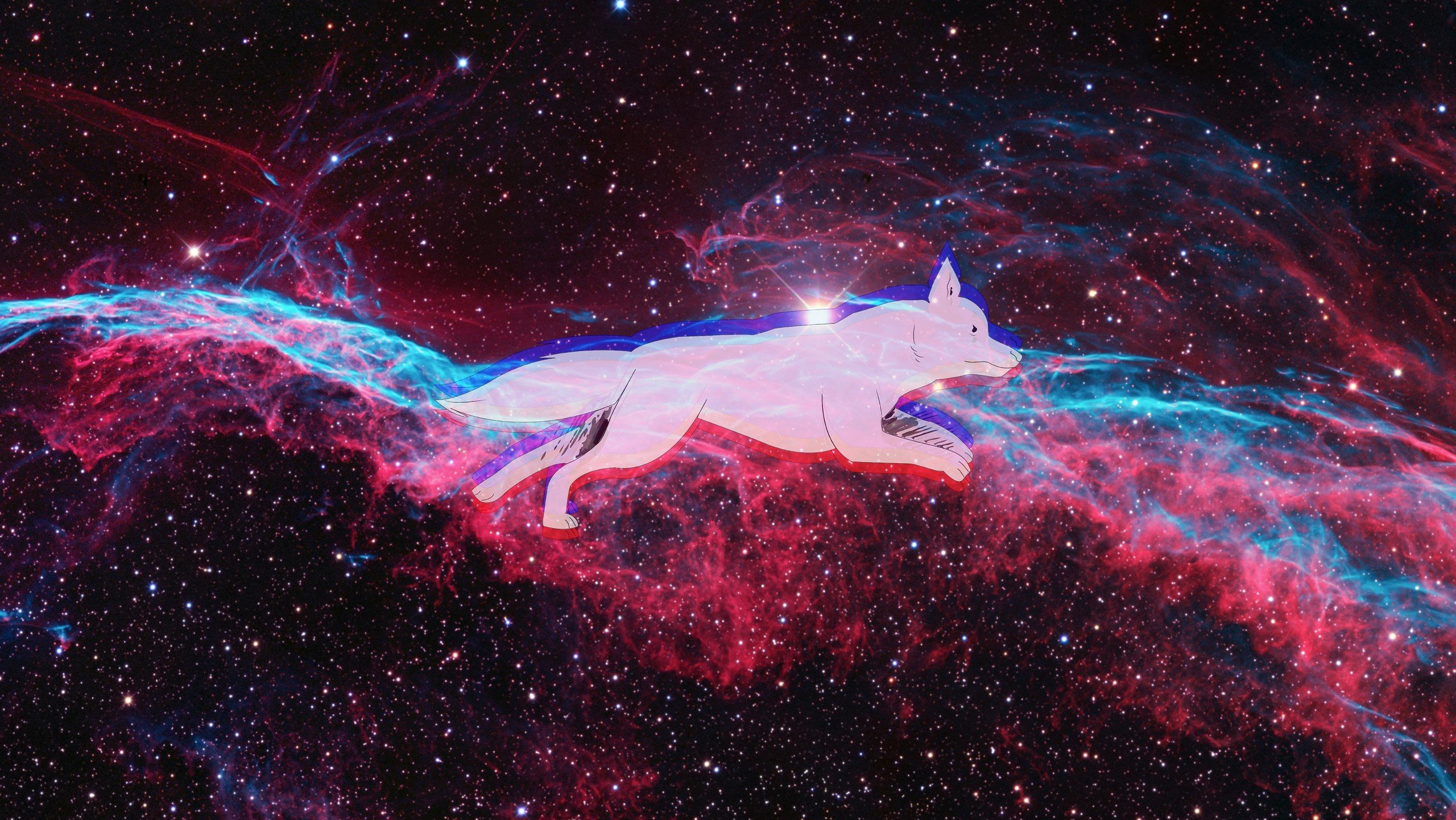 space, Dog Wallpaper