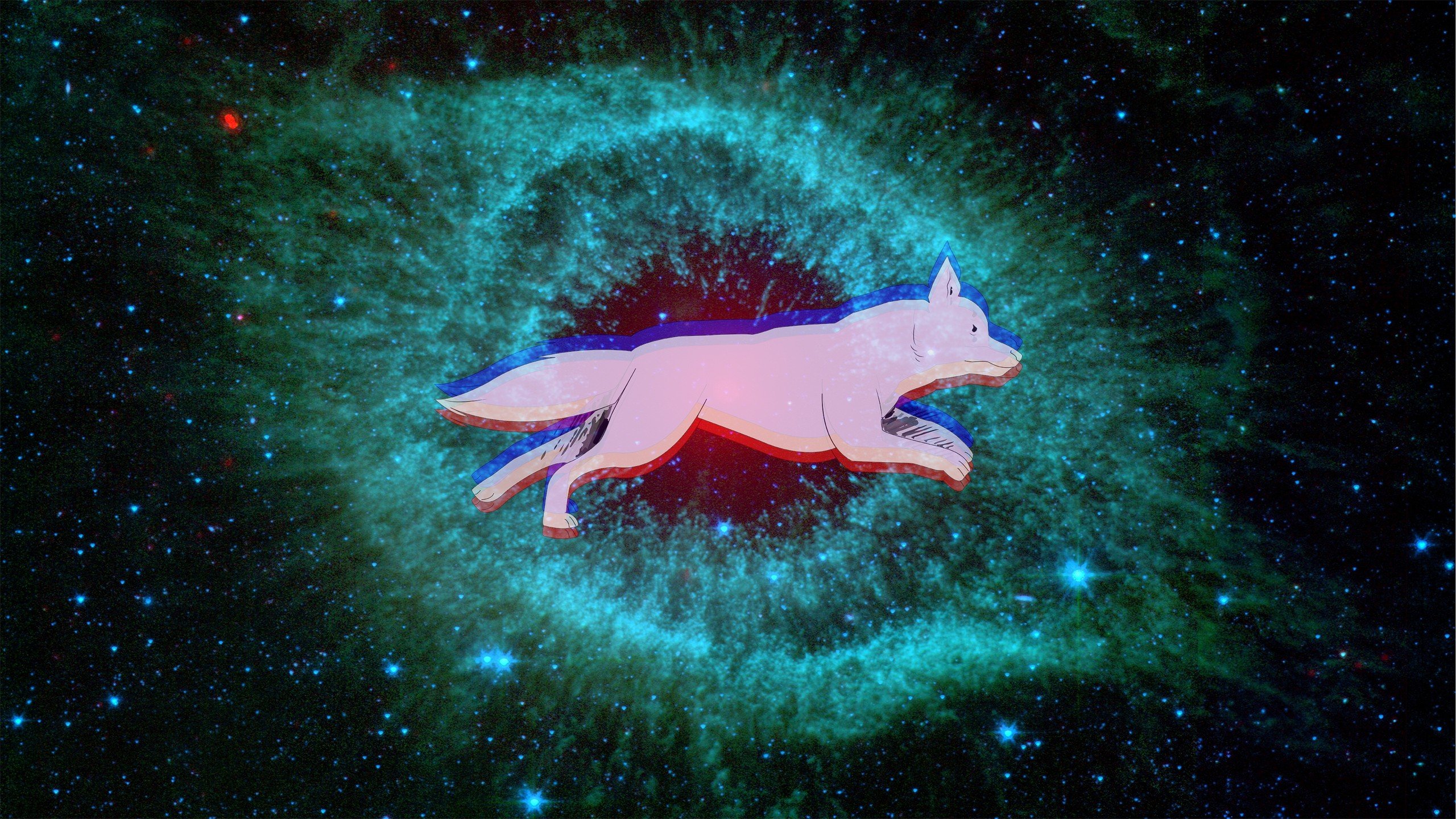 space, Dog Wallpaper