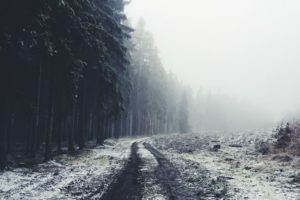 winter, Road, Landscape, Nature