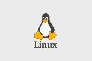 Tux, Linux, GNU   Linux, FoxyRiot