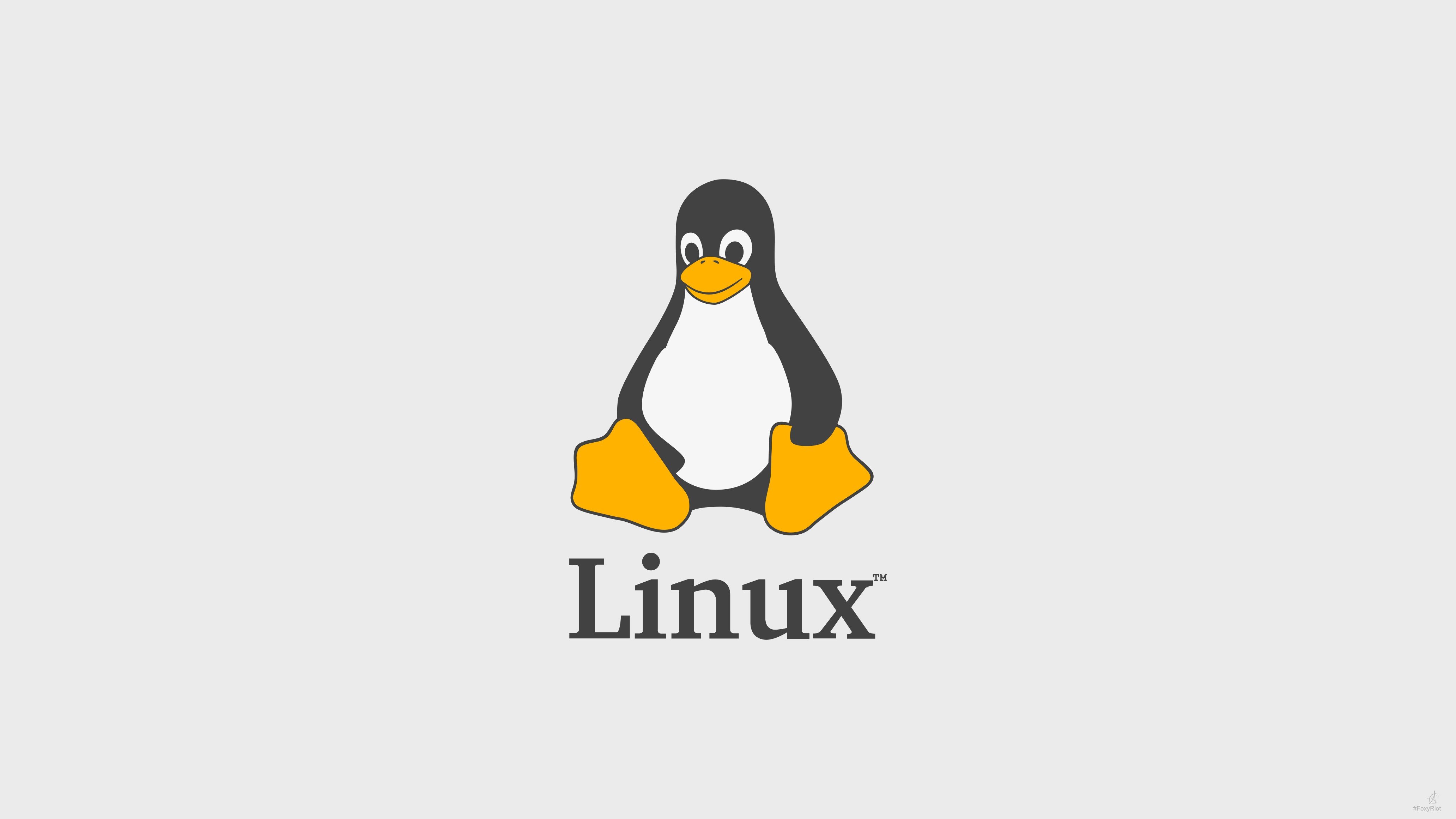 Tux, Linux, GNU   Linux, FoxyRiot Wallpaper