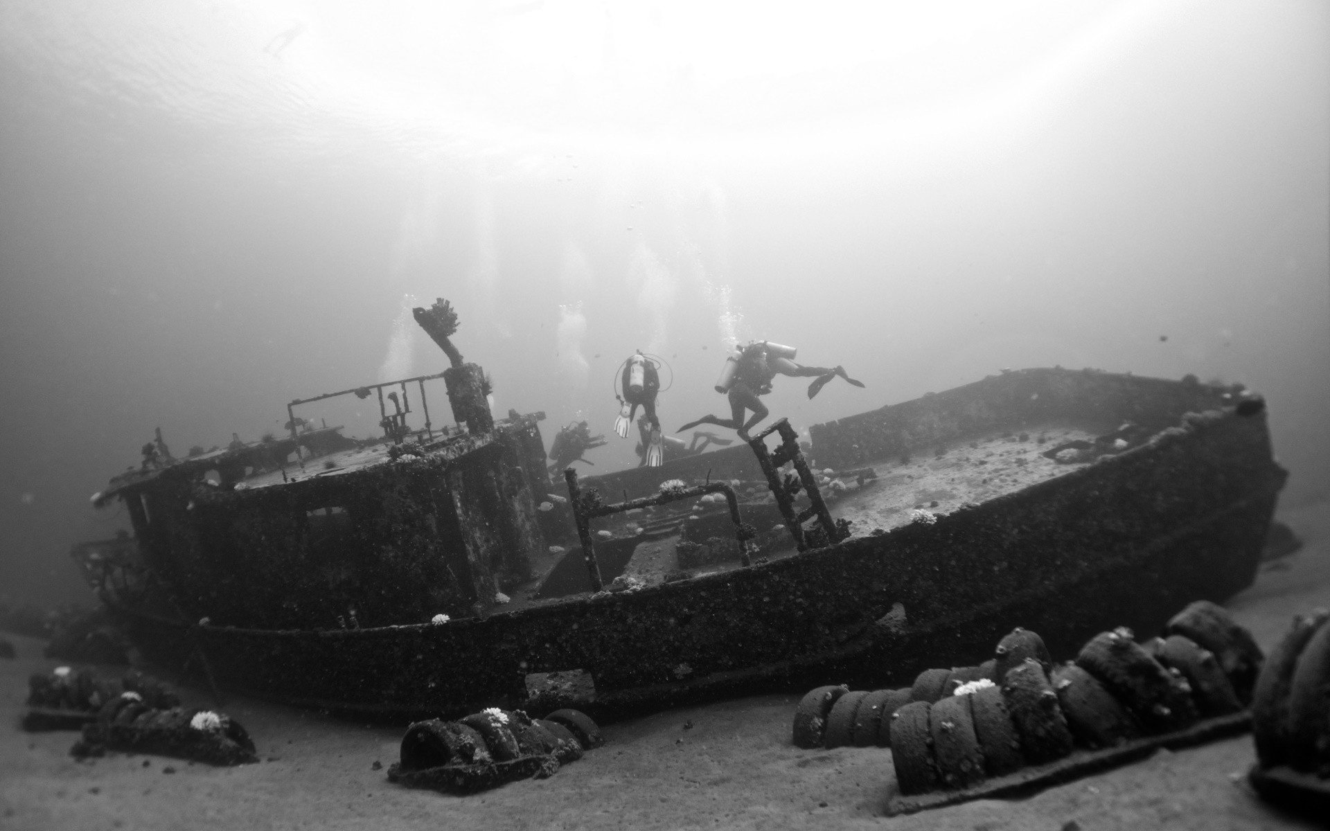 divers, Monochrome, Underwater, Shipwreck Wallpaper
