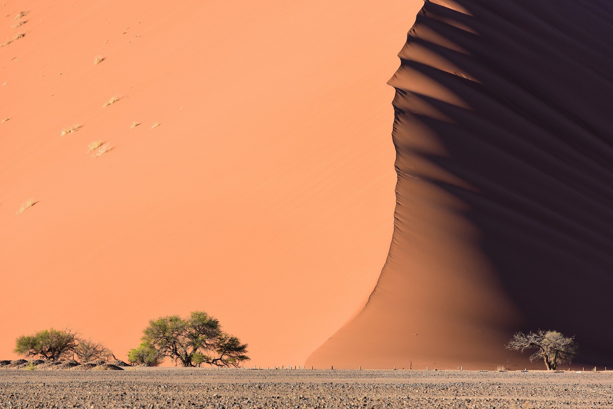 desert, Sand, Dune Wallpaper