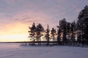 nature, Snow, Trees, Landscape