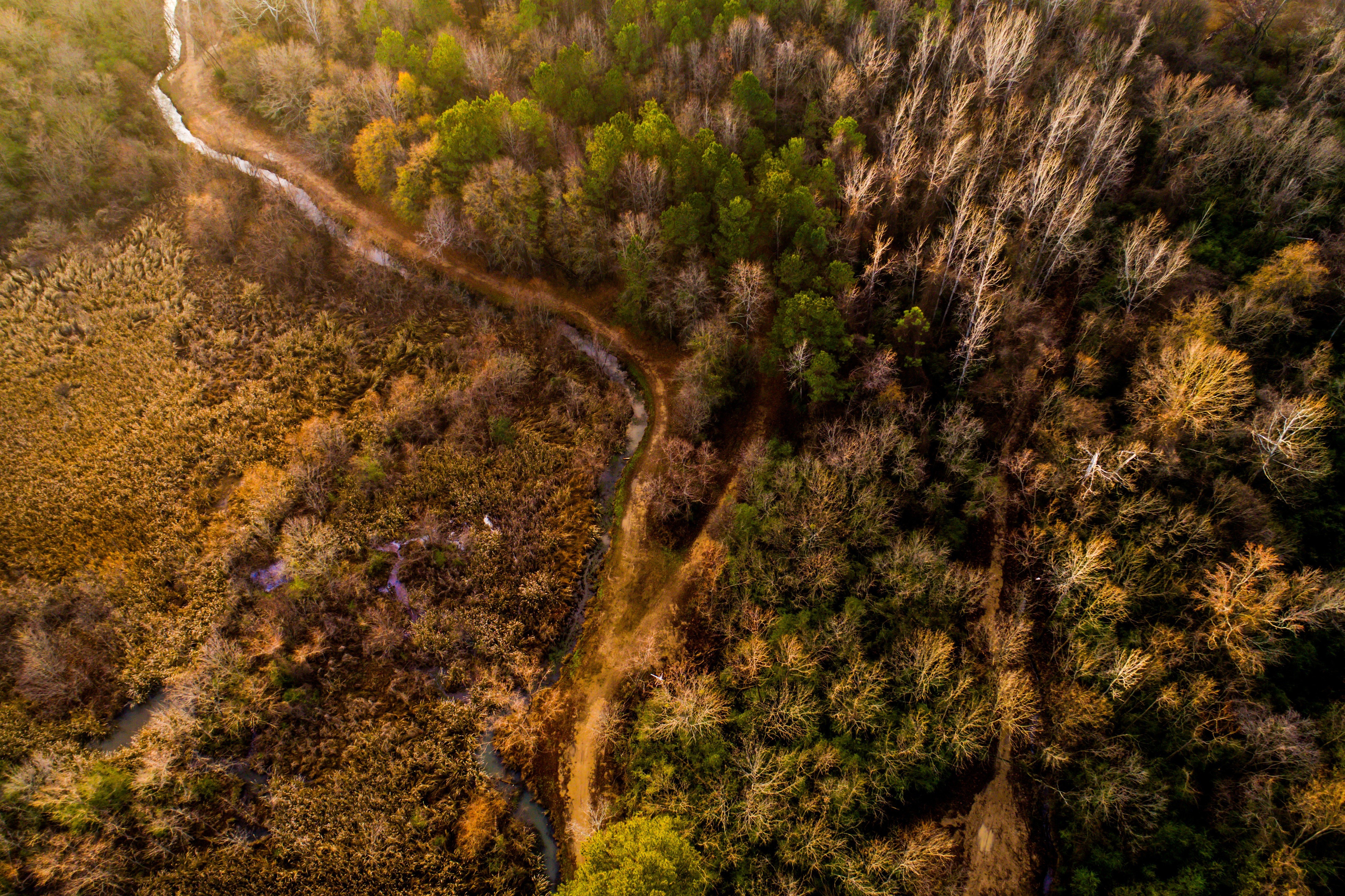 nature, Trees, Aerial view, River, Forest, HDR Wallpaper