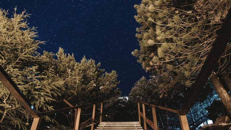 photography, Night sky, Trees, Starry night HD Wallpaper Desktop Background