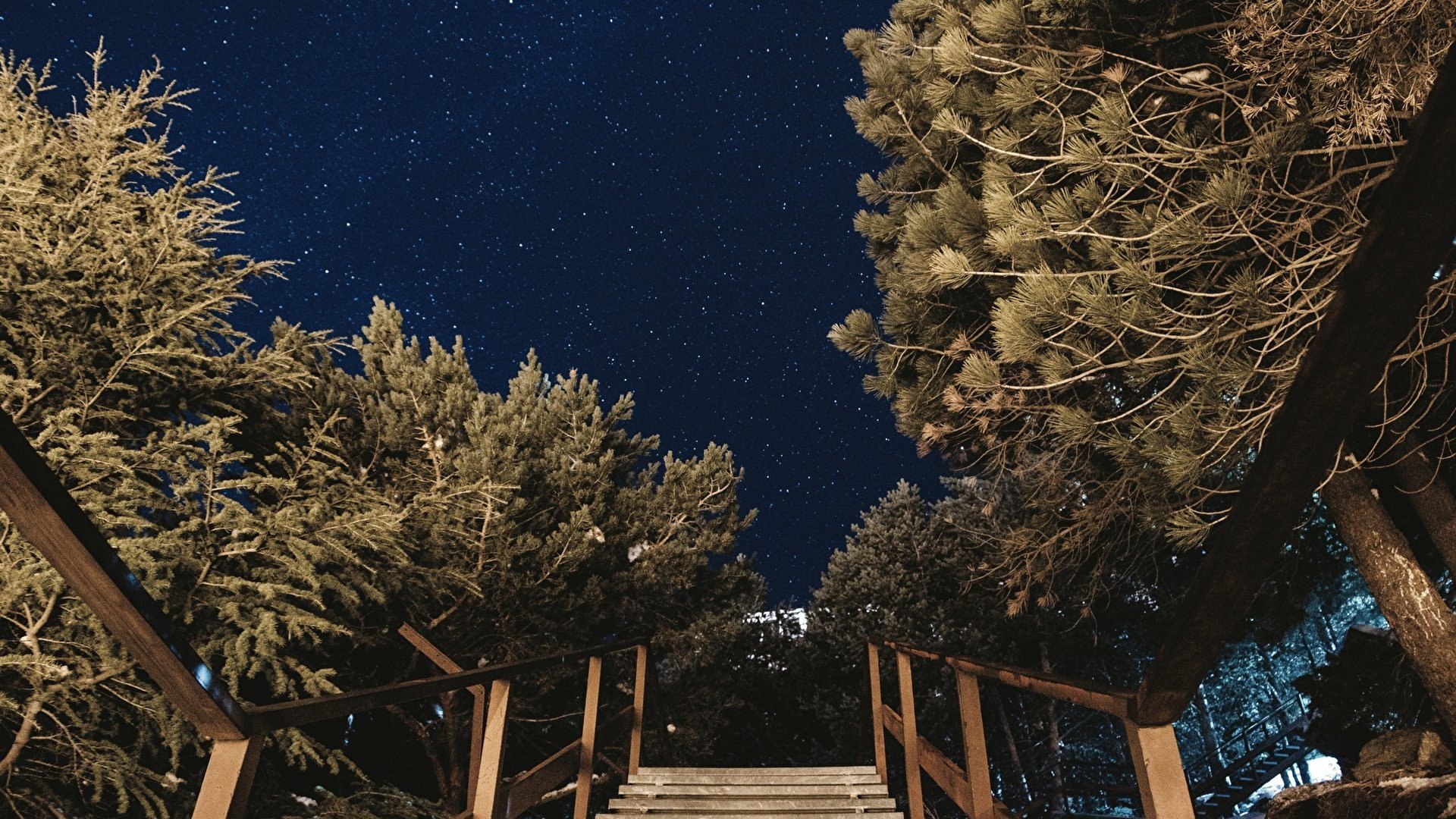 photography, Night sky, Trees, Starry night Wallpaper