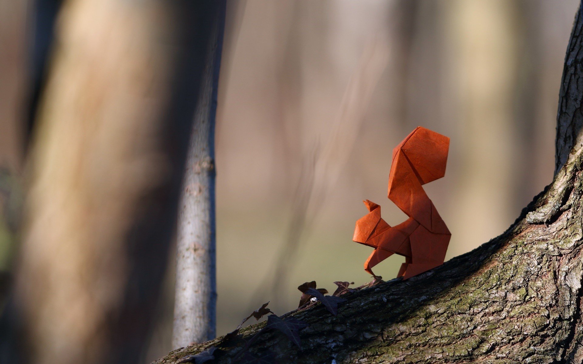 origami, Squirrel, Paper Wallpaper