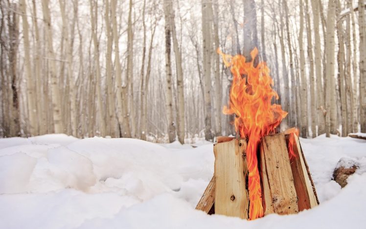 winter, Snow, Cold, Wood, Fireplace, Trees HD Wallpaper Desktop Background