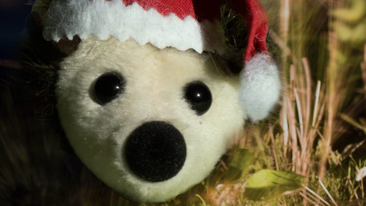 Christmas, Hedgehog, Santa hats HD Wallpaper Desktop Background