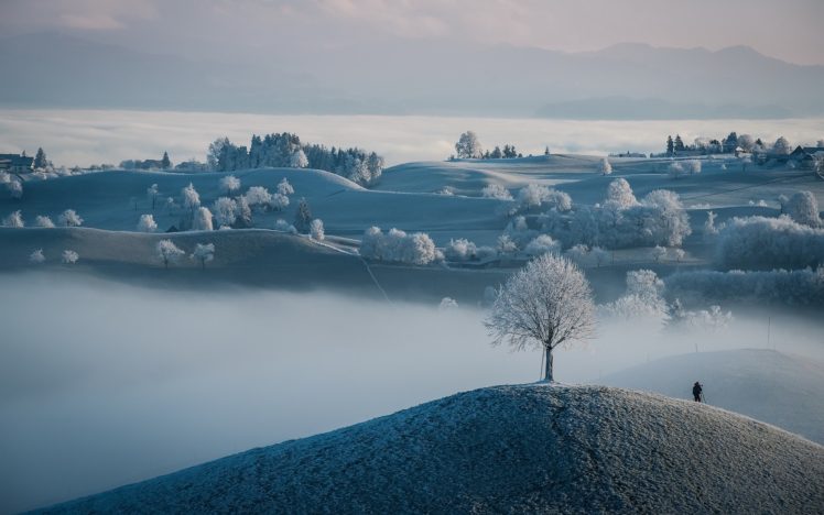 landscape, Winter, Nature HD Wallpaper Desktop Background