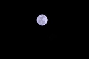 Moon, Night, Photography