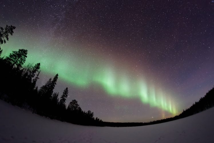 nature, Snow, Aurorae, Stars, Trees, Galaxy HD Wallpaper Desktop Background