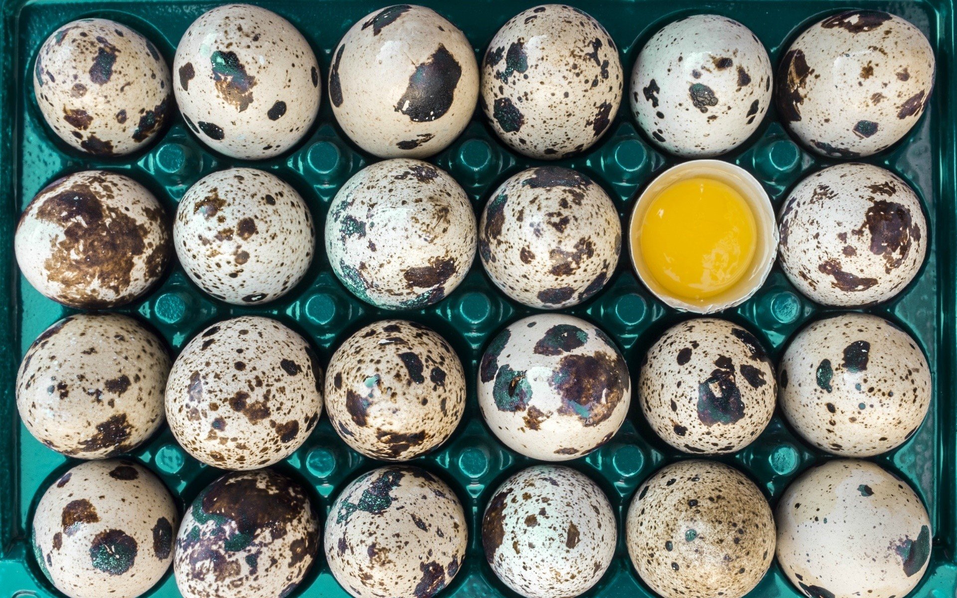 food, Eggs Wallpaper