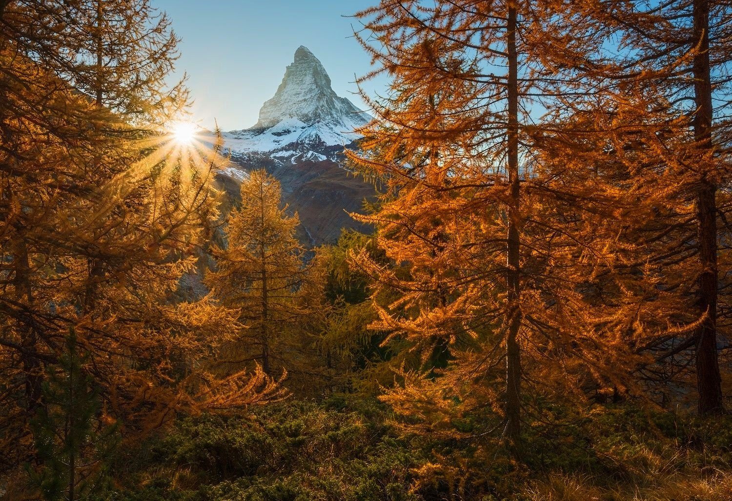nature, Photography, Landscape, Snowy peak, Sunset, Fall, Trees, Sun rays, Forest, Mountains, Alps, Switzerland, Matterhorn, Switzerland Wallpaper