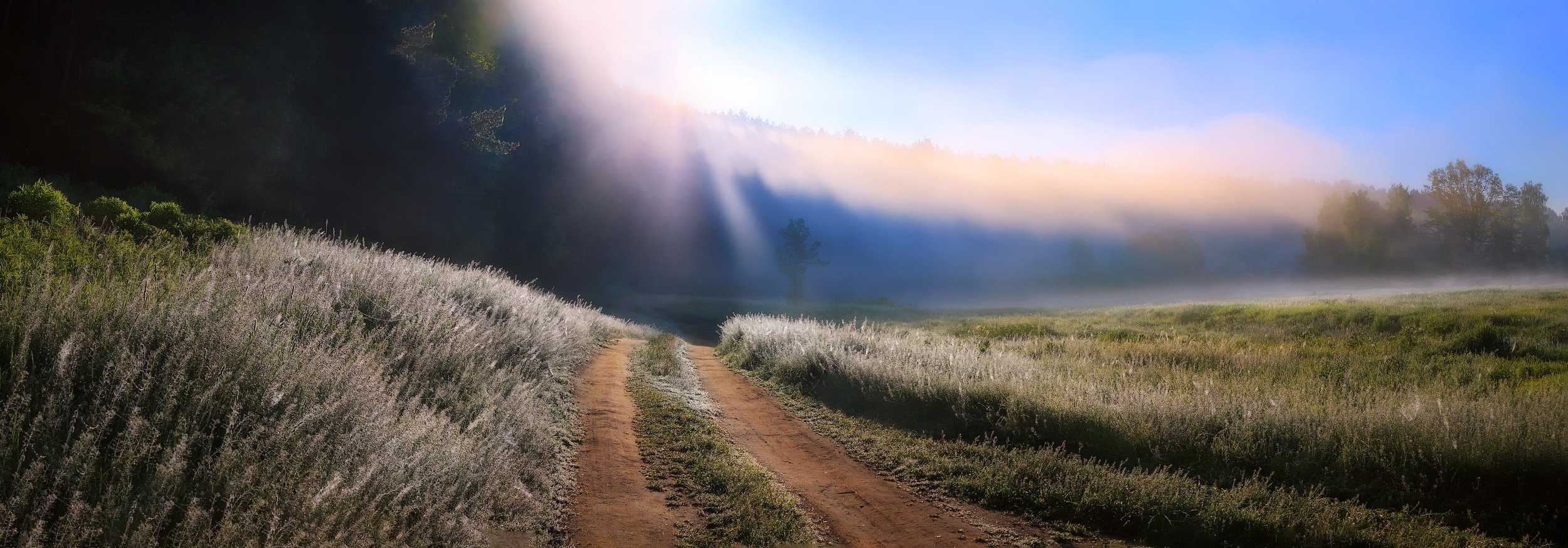 nature, Photography, Landscape, Morning, Dirt road, Grass, Mist, Sun rays, Trees, Panorama Wallpaper