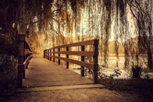nature, Photography, Landscape, Wooden surface, Bridge, Willow trees, River, Path, Illinois
