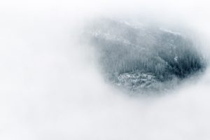 nature, Landscape, Trees, Forest, Mist, White background, Winter, Snow, Pine trees, Bird&039;s eye view, Hills