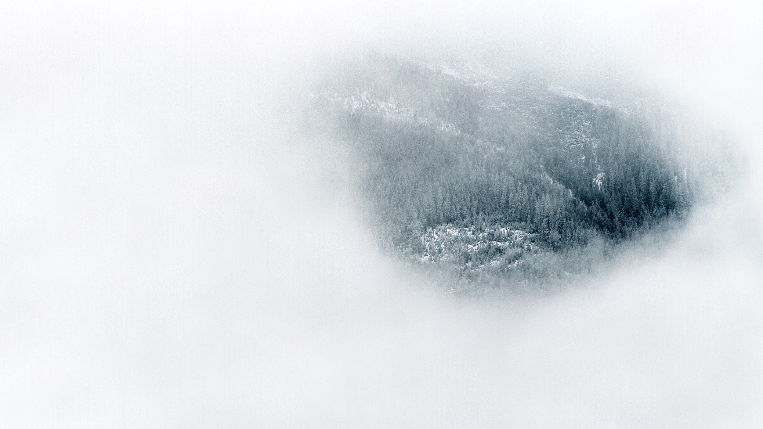 nature, Landscape, Trees, Forest, Mist, White background, Winter, Snow, Pine trees, Bird&039;s eye view, Hills Wallpaper