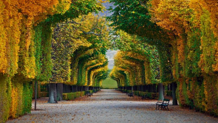nature, Landscape, Trees, Forest, Fall, Park, Bench, Leaves, Vienna, Austria, Schönbrunn, Path HD Wallpaper Desktop Background