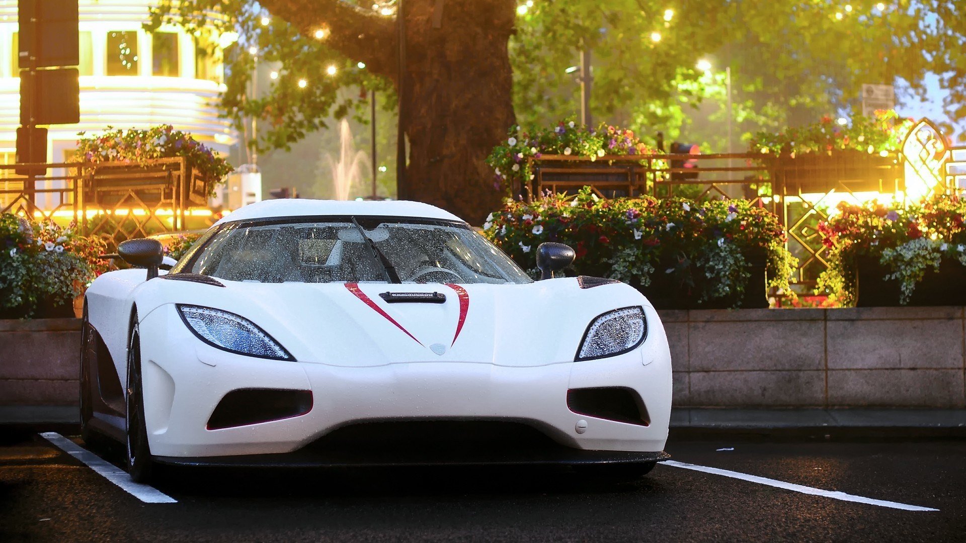 car, Koenigsegg Agera, Koenigsegg, White cars, Sun, Trees Wallpaper