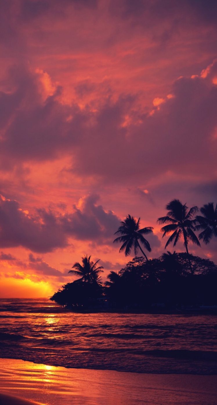 nature, Landscape, Water, Clouds, Trees, Beach, Sunset, Portrait display HD Wallpaper Desktop Background