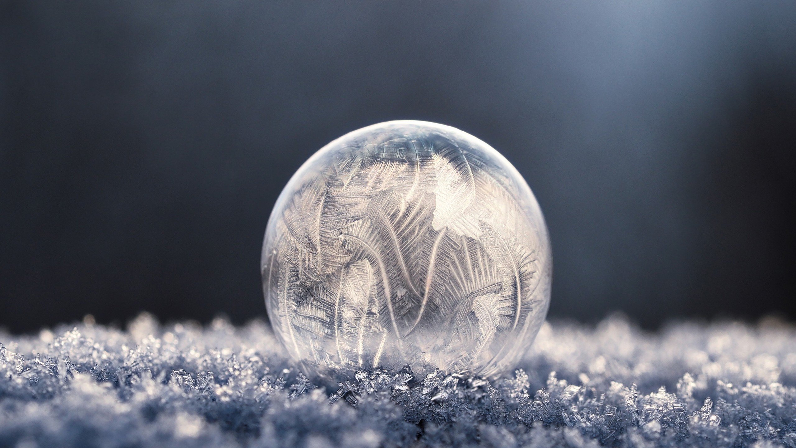 bubbles, Soap, Frost, Winter, Frozen bubble, Macro, Ice Wallpaper