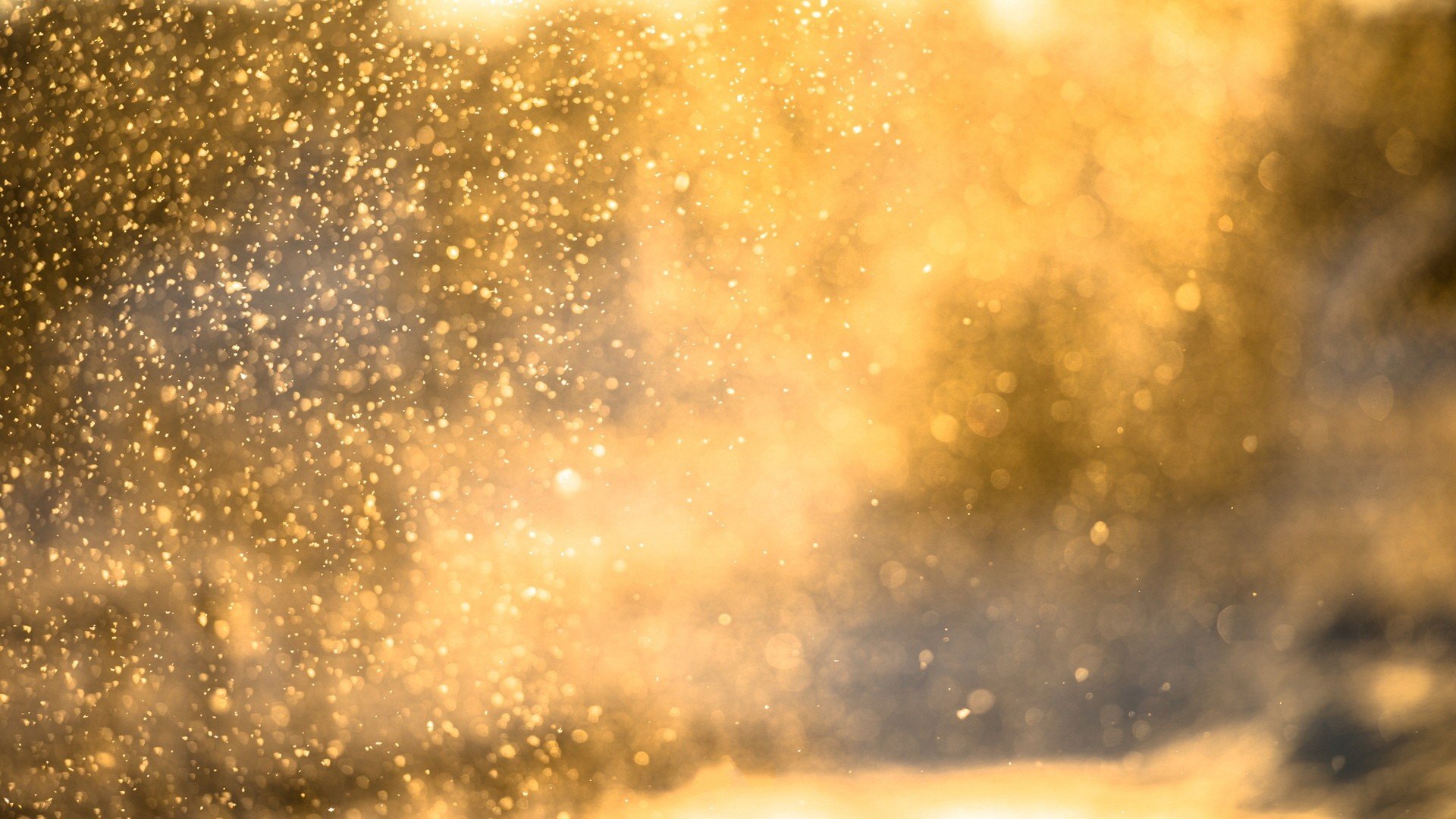 water drops, Sunlight, Bokeh Wallpaper