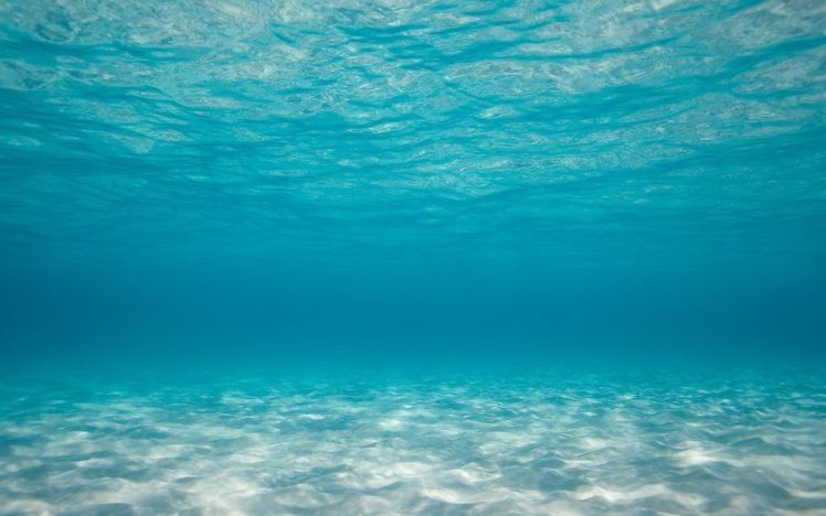 sea, Underwater HD Wallpaper Desktop Background