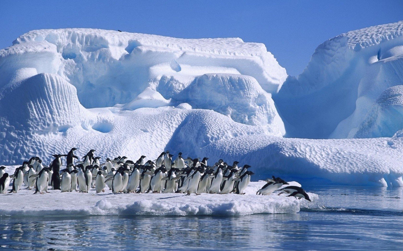 iceberg, Sea, Birds, Penguins Wallpaper
