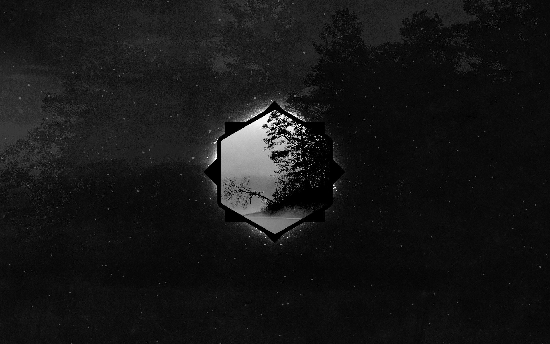 geometry, Dark, Forest HD Wallpapers / Desktop and Mobile Images & Photos