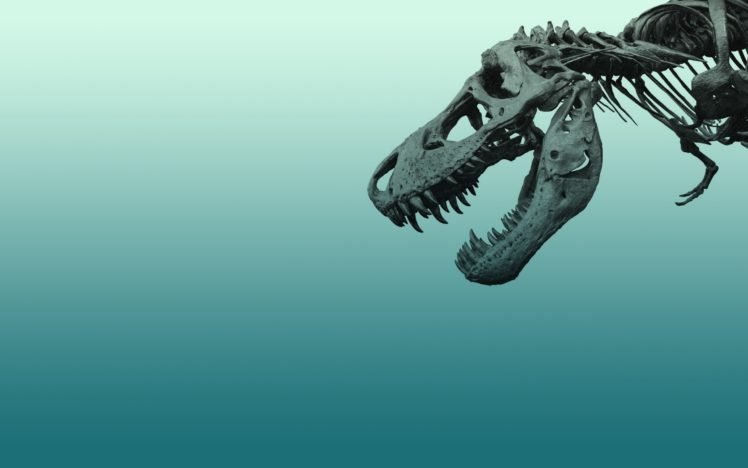 dinosaurs, Tyrannosaurus rex, Bones, Minimalism HD Wallpaper Desktop Background