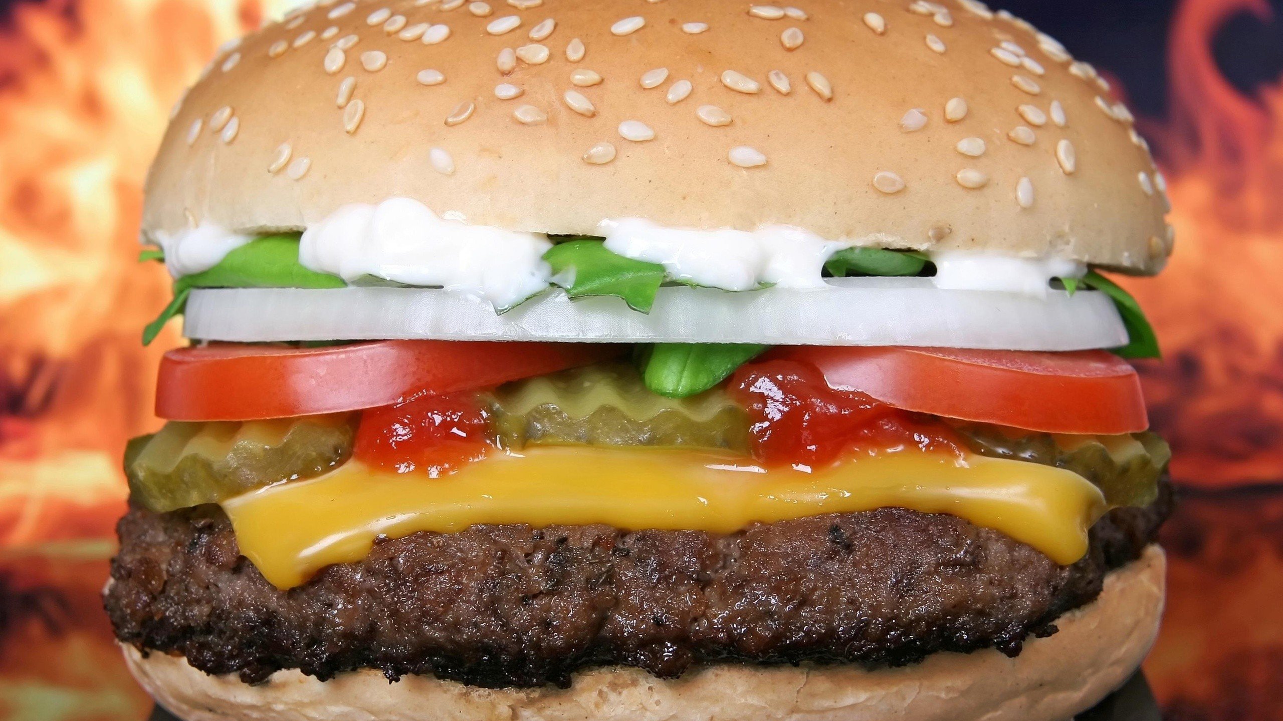 food, Closeup, Burger, Cheese Wallpaper