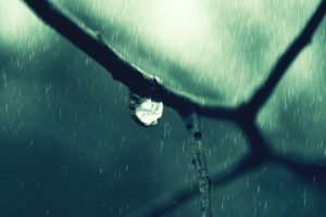 closeup, Water drops